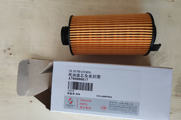 Borgward A700000017 Eco Oil Filter