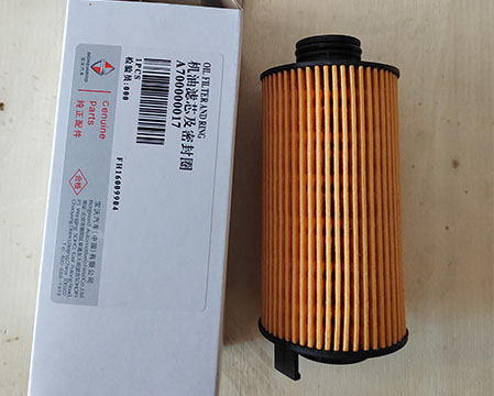 Borgward A700000017 Oil Filter