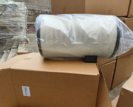 Donaldson P777868 Air Filter