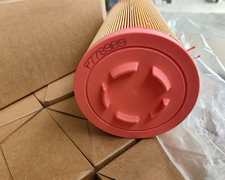 Donaldson P778989 Air Filter