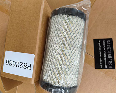 Donaldson P822686 Air Filter