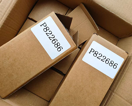 Donaldson P822686 Air Filter