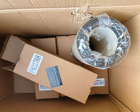 Donaldson P822768 Air Filter