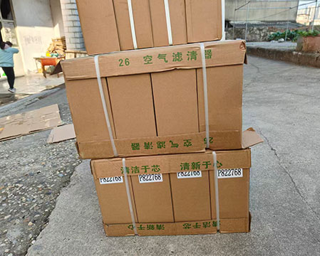 Donaldson P822768 Air Filter