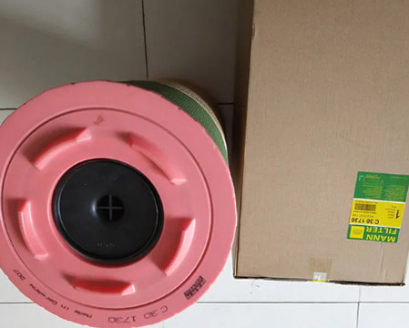 Mann Truck Air Filters C301730 For Remove Odor Dust Air ISO9001