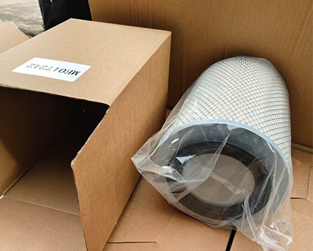 ME017242 Mitsubishi Air Filter