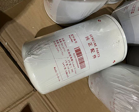 SANY B222100000494 Oil Filter