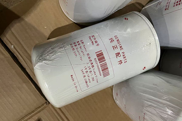 SANY B222100000494 Oil Filter