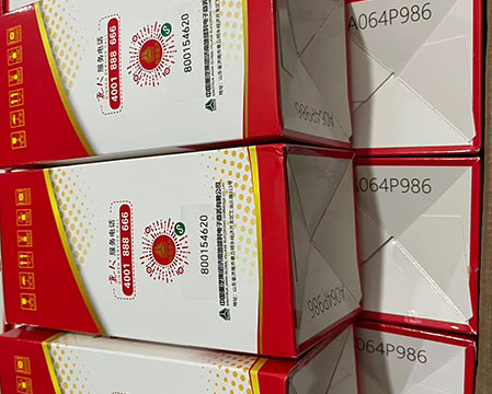 Sinotruk HOWO WG9925550105 Fuel Water Separator Filter