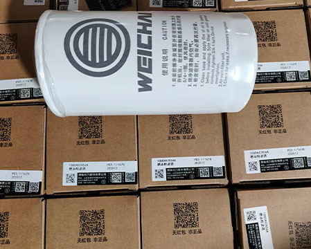 Weichai 1000442956A Fuel Filter